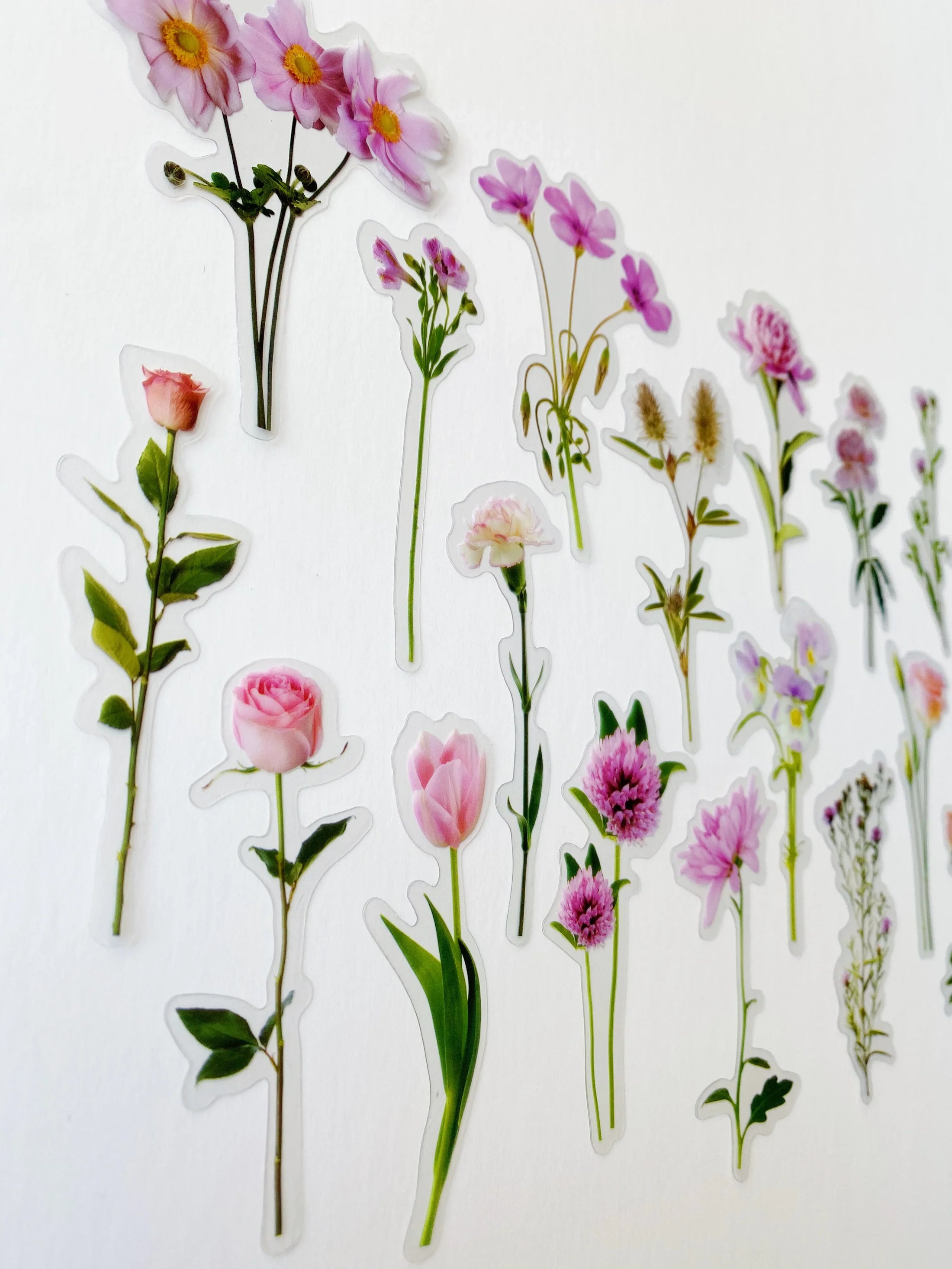 Peony Pink Journaling Sticker Pack (20ct) – Bibles and Coffee