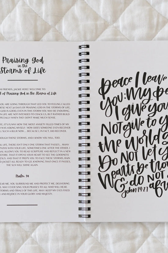 Praising God 30 Day Devotional Journal
